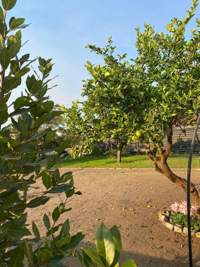 Moita Cottage Экстерьер фото